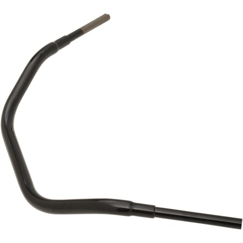 Guidon big buffalo beach - guidon,