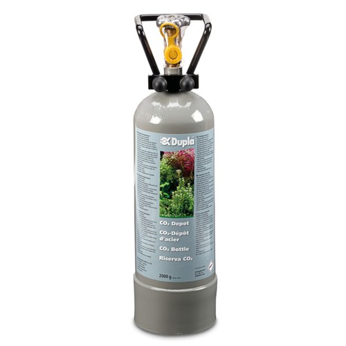 Dupla co2 dépôt - co2, g