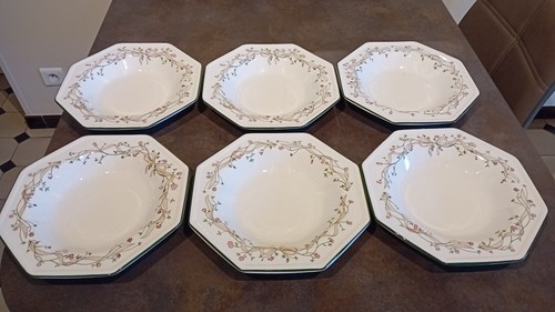 Assiettes creuses quasi - assiettes,