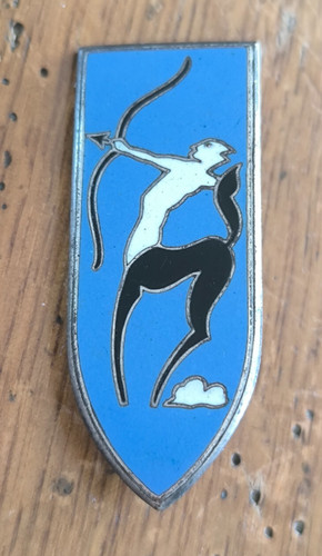 Insigne centre tir engins - insigne,