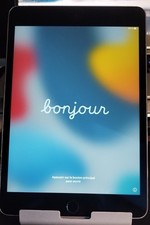 iPad Mini 4 Silver  64 GO Excellent État