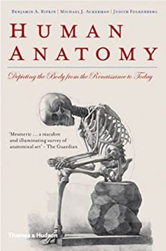 Anatomie humaine dépeignant - :,