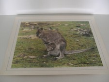 ANCIENNE PLANCHE AFFICHE