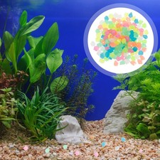  400 Pcs Gravier Decoratif Décoration Du Paysage Poisson Ornements D'aquarium