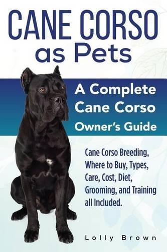 Lolly brown cane corso pets - lolly, as