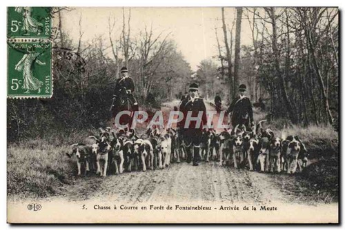 Chasse courre forêt de - à,