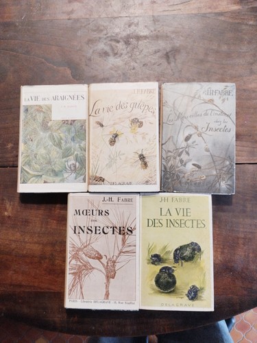 Fabre collection sur les - -,