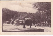 Carte postale ancienne card ES CAMBODGE CAMBODIA INDOCHINE ZOO élephant albaret