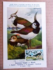 FRANCE  CARTE MAXIMUM 1960 OISEAUX"LE VANNEAU HUPPE"
