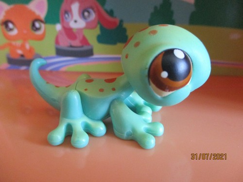 Petshop lézard 111 aimant - petshop,