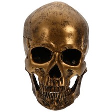  Ornements De Crâne Modèle