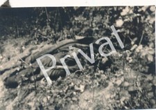 Photo WK2 Wehrmacht Blessés