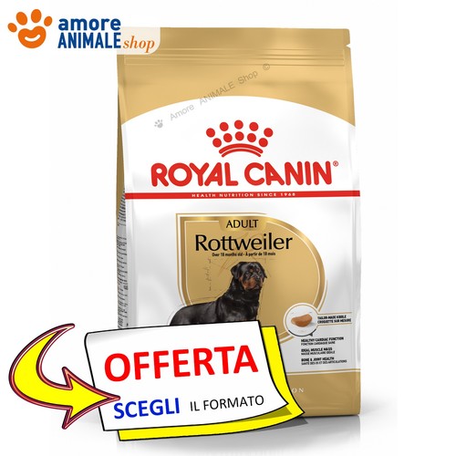 Royal canin chien - chien, adulte