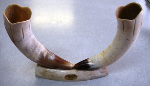 Unique geniune vintage horn - /geniune,
