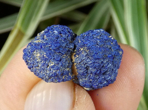 Nodule double azurite - double,