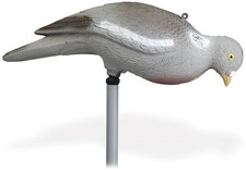 Pack 12 appelants Pigeon