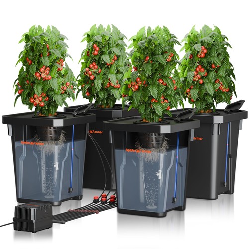 Dwc système culture - dwc,