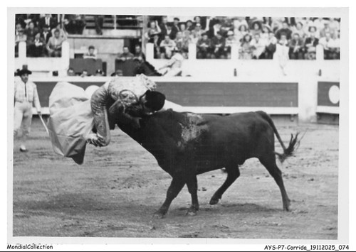 Aysp7 0471 corrida - toros, y