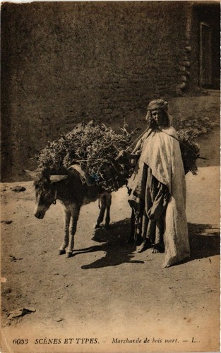 Cpa algeria 6033 scenes - cpa,