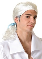 Perruque Blanche MARQUIS Déguisement Homme Noble Roi NEUF Pas cher