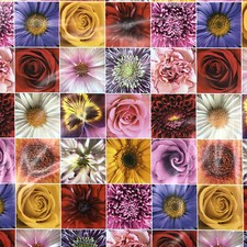 Nappe de Table en Toile Cirée