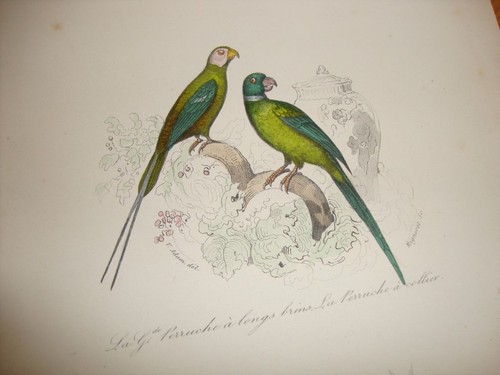Encadrer ancienne gravure - a, !