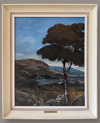 Paysage forestier côtier - forestier,