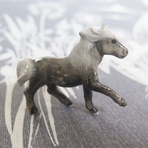 Pommelé gris poney cheval - poney,