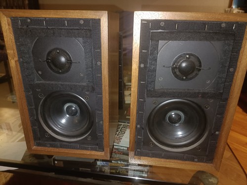 Rogers ls3 ohm - 15,