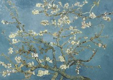 Affiche d'art mural Van Gogh