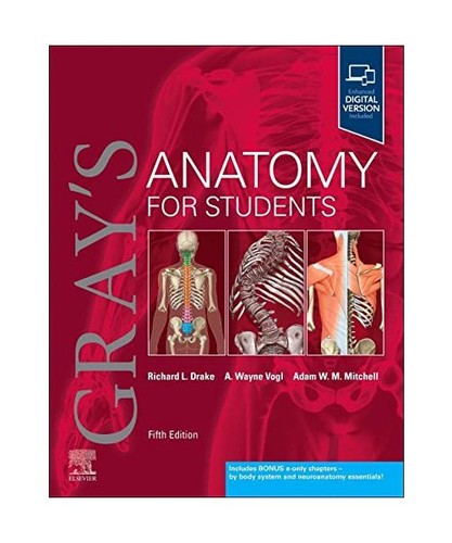 Gray anatomy for - gray's,