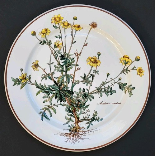 Sublime grande assiette - sublime,