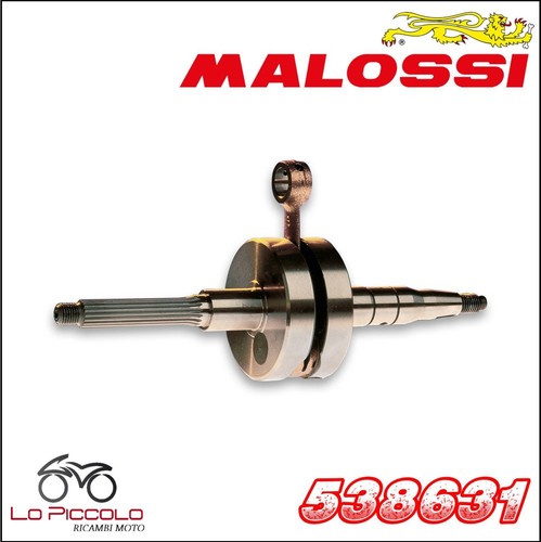 538631 malossi arbre - 538631, moteur