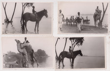 8,5x13,5 cm - 4 photos AEF 1949 NIGER Jean Morin phot. - Au bord du fleuve Niger