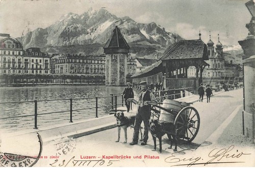 Suisse fg56183 luzern - suisse,