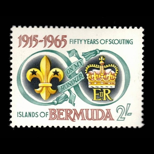 Bermuda scott 198 scout - 198,,