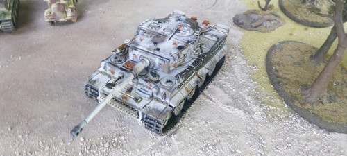 Painted tiger 1 - 1/48,