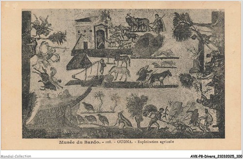 Avkp8 0469 tunisie musée du - avkp8-0469-tunisie,