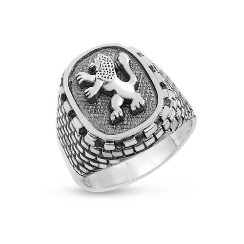 Sterling silver lion judah - silver, of