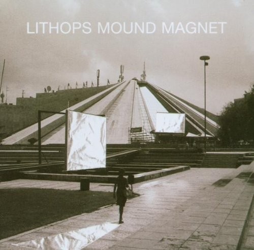 Lithops mound magnet - mound,