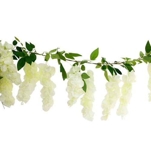 Glycine grain fleur canne - glycine,
