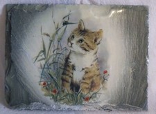 Cadre Avec Chat Peint Dessus .......1164