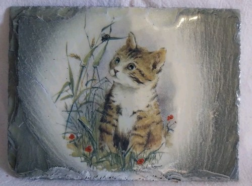 Cadre avec chat peint dessus - cadre,