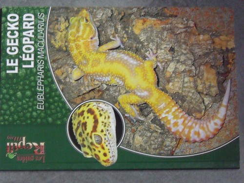 1µ revue reptil - mag, les