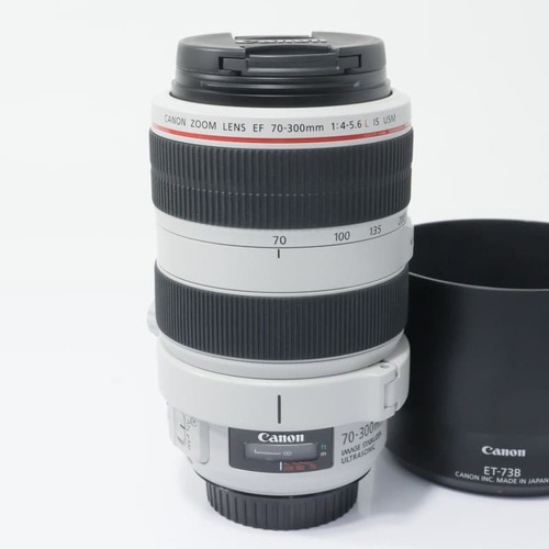 Objectif canon ef70 300mm - objectif,