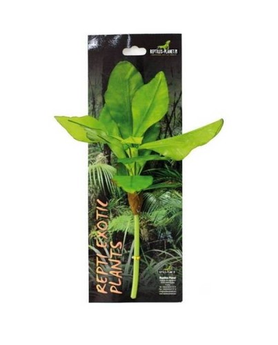 Plante artificielle bananier - plante,