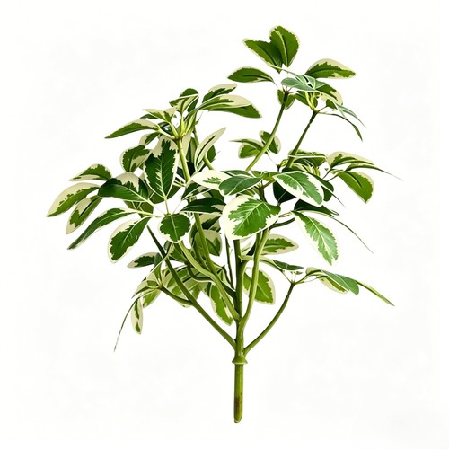 Plante artificielle verte