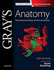 Gray's Anatomy : La Base Anatomique De La Pratique Clinique Relié