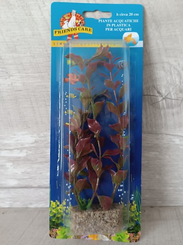 Ludwigia red plante plastique - ludwigia,