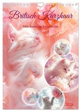 British shorthair (Calendrier mural 2026 DIN A4 vertical), CALVENDO calendrier m